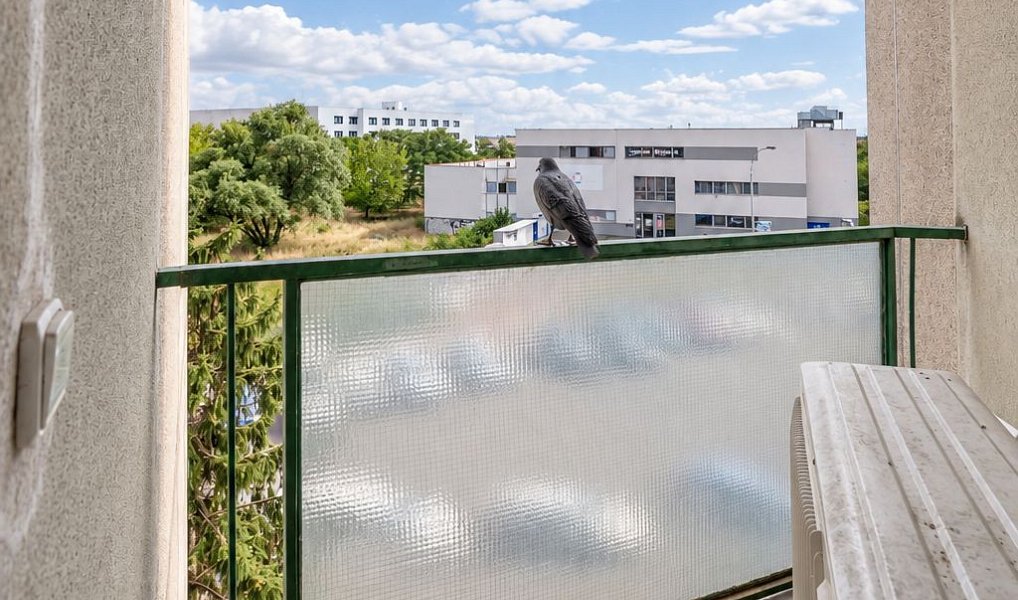 Prodej bytu 3+kk 93 m², Praha – náhled fotky 18