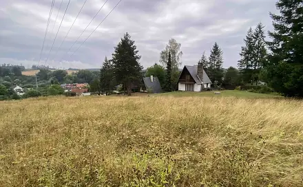 Dražba louky 1 160 m², Býkov-Láryšov