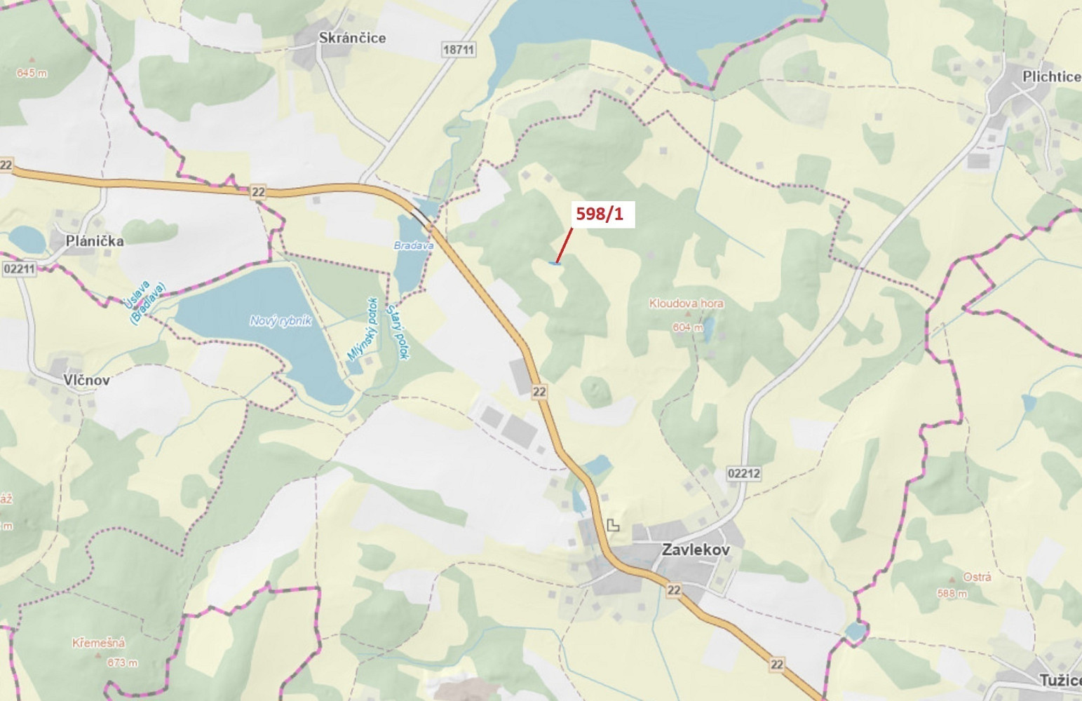 Dražba louky 272 m²