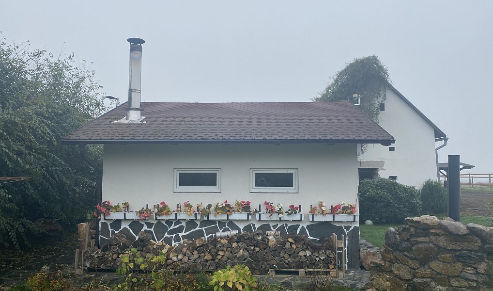 Prodej komerčního objektu (jiného typu) 28 792 m², Pluhův Žďár – náhled fotky 4