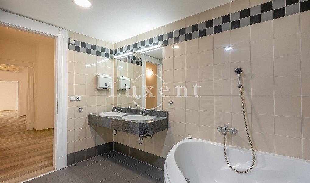 Pronájem bytu 4+kk 156 m², Praha – náhled fotky 10