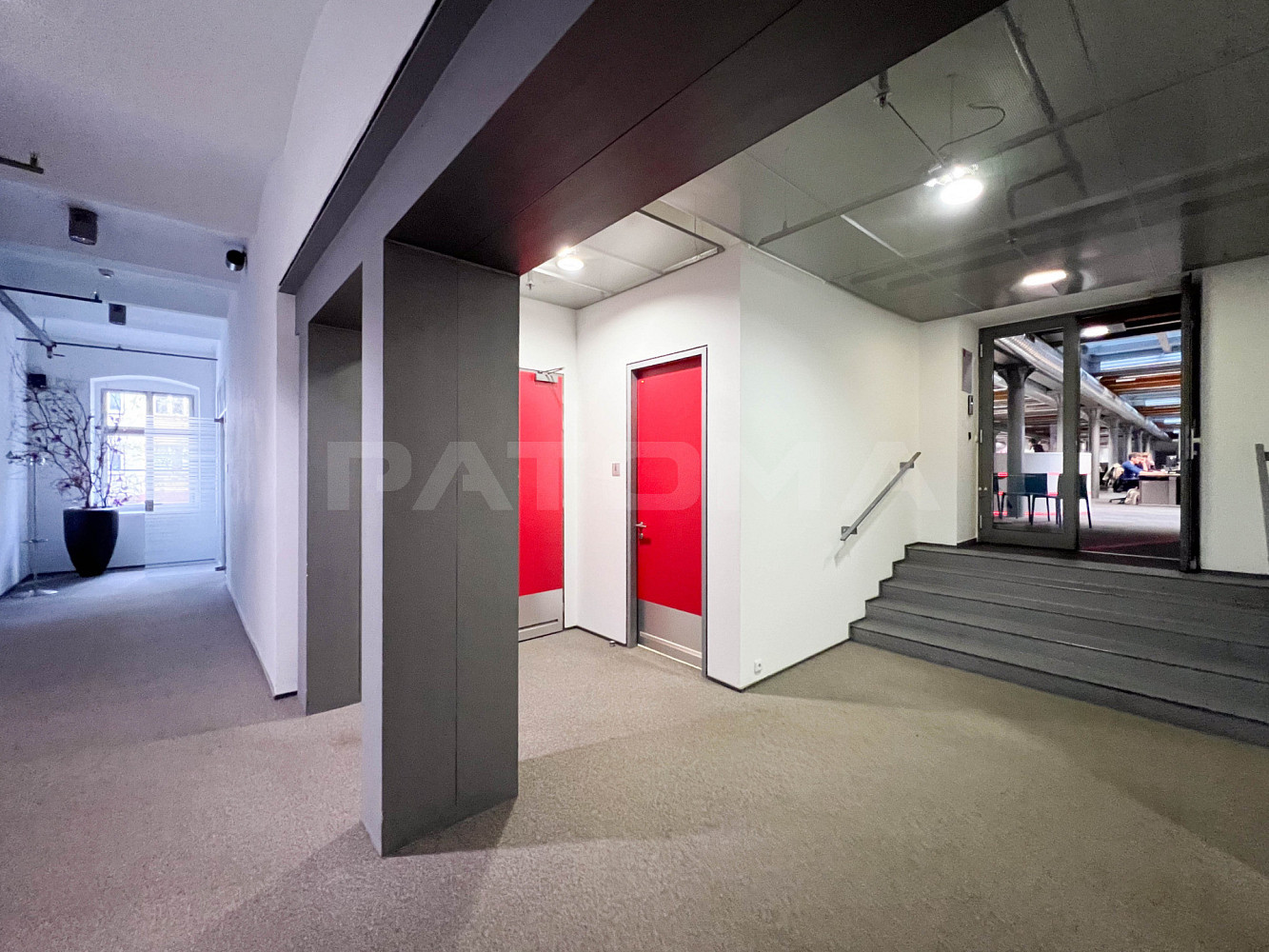 Pronájem obchodních prostor 550 m² – fotografie 4