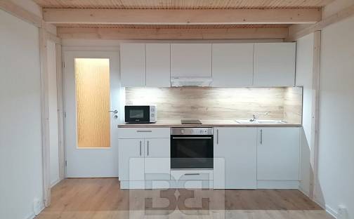 Pronájem bytu 1+kk 30 m², Palackého, Ostrava - Přívoz