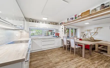 Prodej domu 289 m² s pozemkem 427 m², Dykova, Olomouc - Slavonín