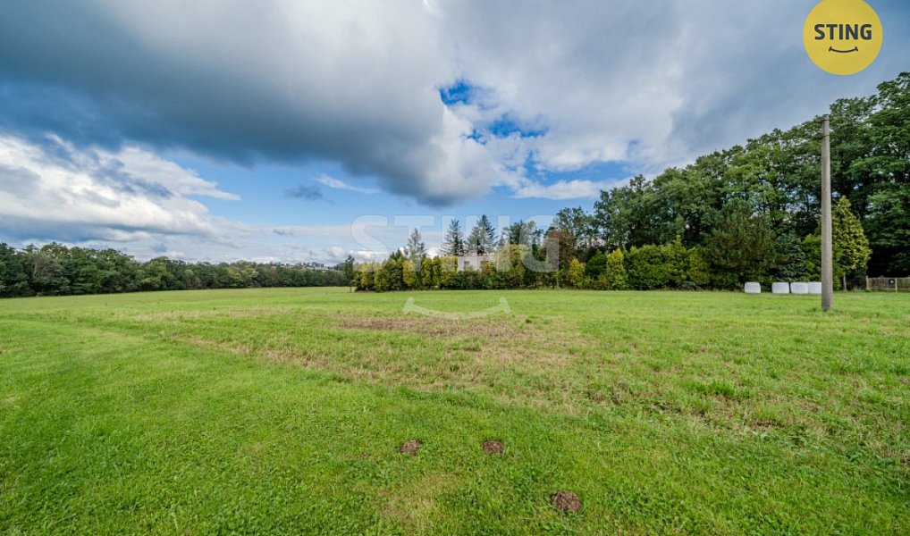 Prodej stavebního pozemku 2 925 m², Ropice – náhled fotky 13