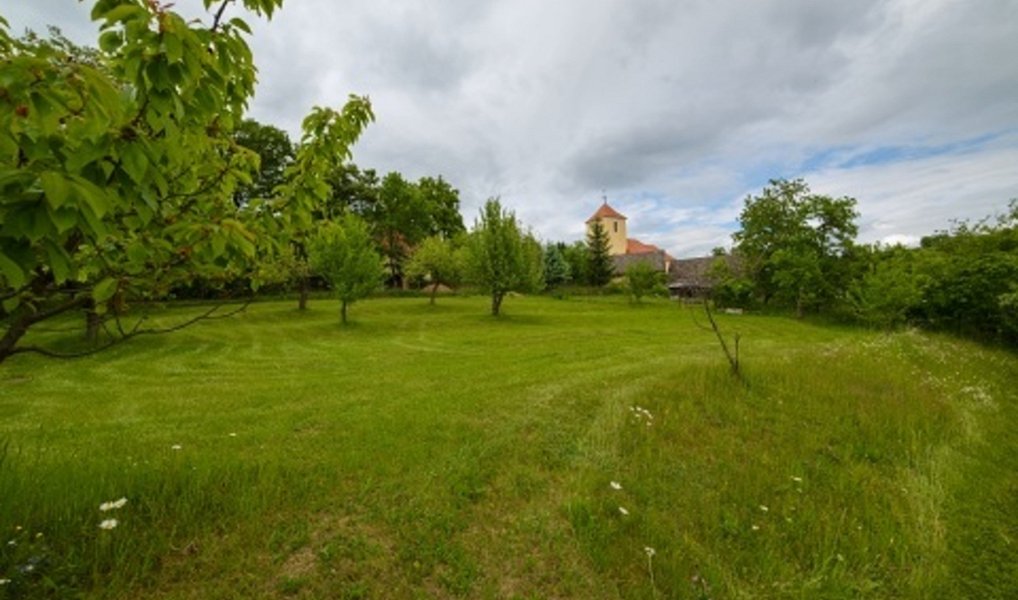 Prodej domu 255 m² s pozemkem 3 631 m², Divišov – náhled fotky 6