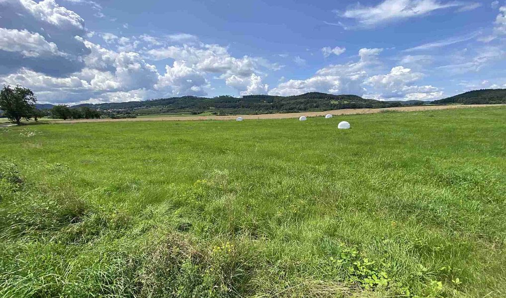 Prodej pole 55 481 m², Lhenice – náhled fotky 9
