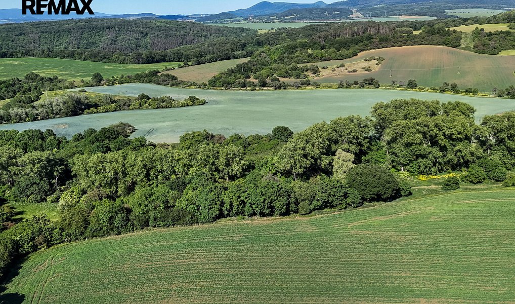 Prodej lesa 5 841 m², Skršín – náhled fotky 18