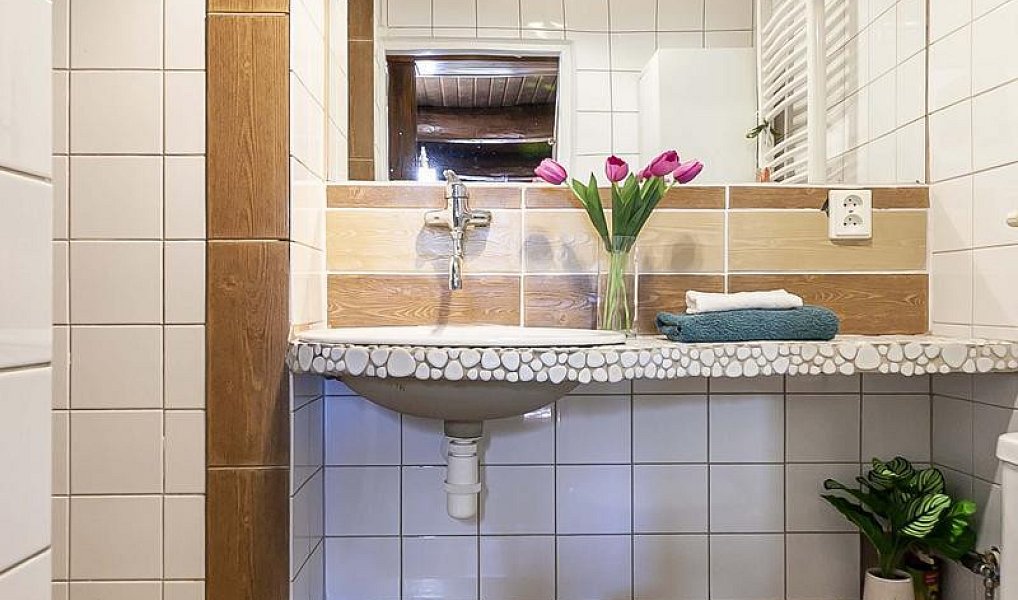 Prodej domu 250 m² s pozemkem 1 555 m², Doubravčice – náhled fotky 10