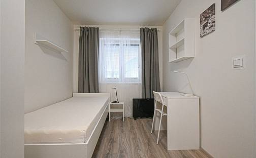 Pronájem bytu 2+1 36 m², Hybešova, Brno - Staré Brno