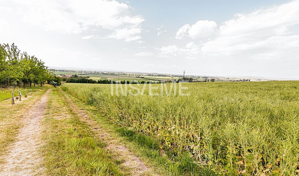 Prodej domu 98 m² s pozemkem 2 835 m², Tvarožná Lhota – náhled fotky 28