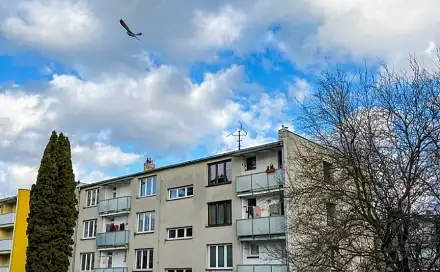 Prodej bytu 2+1 54 m², Trhové Sviny, okres České Budějovice