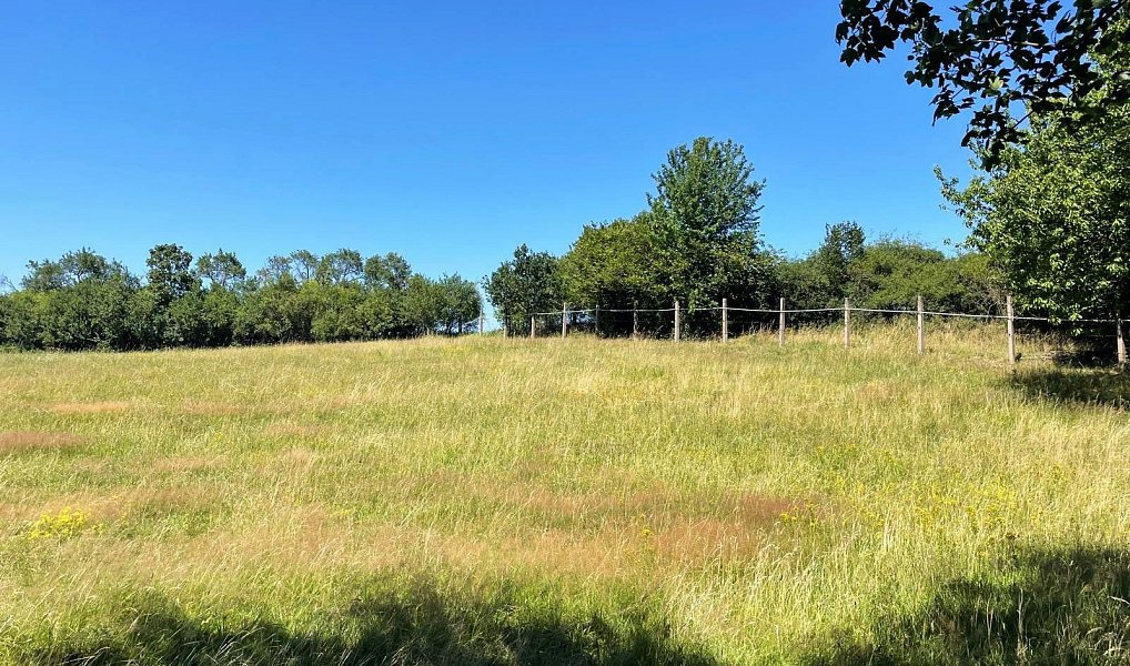 Prodej louky 6 229 m², Bojanovice – náhled fotky 5