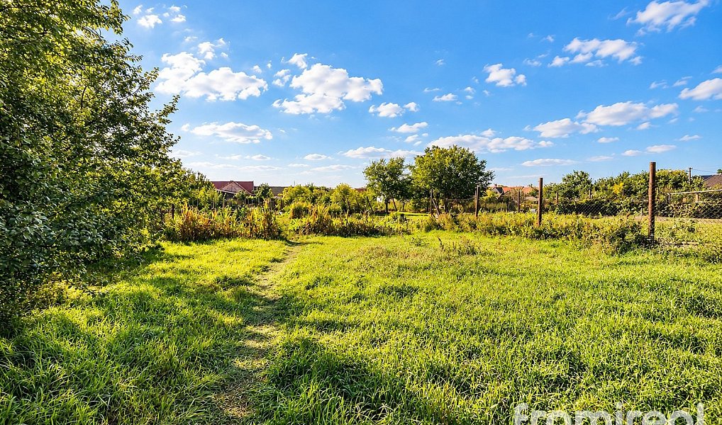 Prodej stavebního pozemku 1 033 m², Dyjákovice – náhled fotky 4