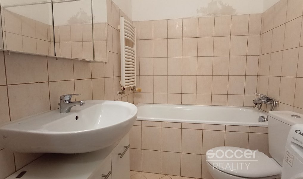 Pronájem bytu 1+1 36 m², Praha – náhled fotky 8