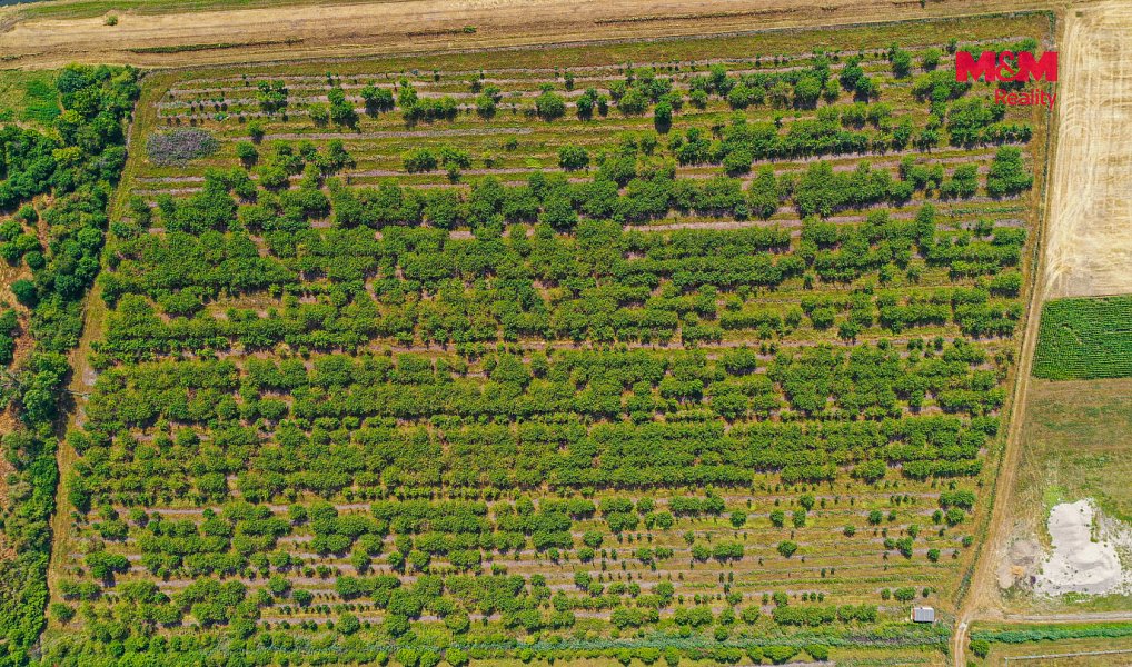 Prodej pole 53 078 m², Rakvice – náhled fotky 8