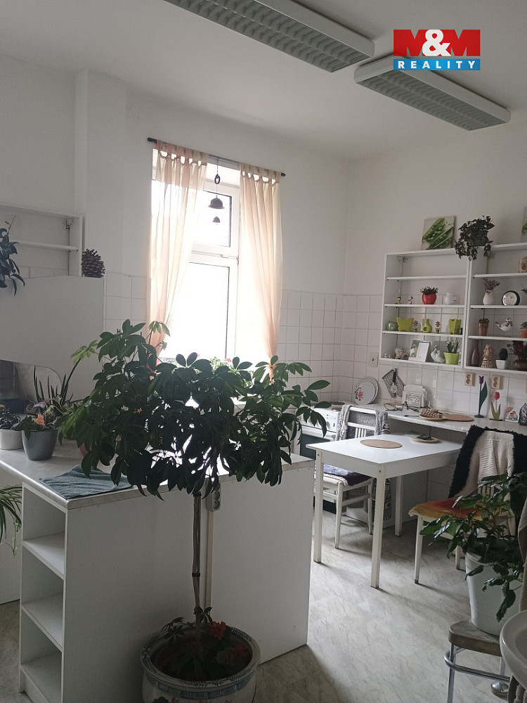 Pronájem obchodních prostor 270 m² — photo 3
