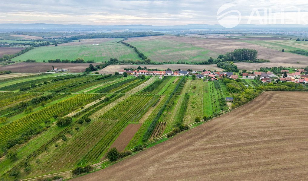 Prodej stavebního pozemku 1 865 m², Starý Poddvorov – náhled fotky 10