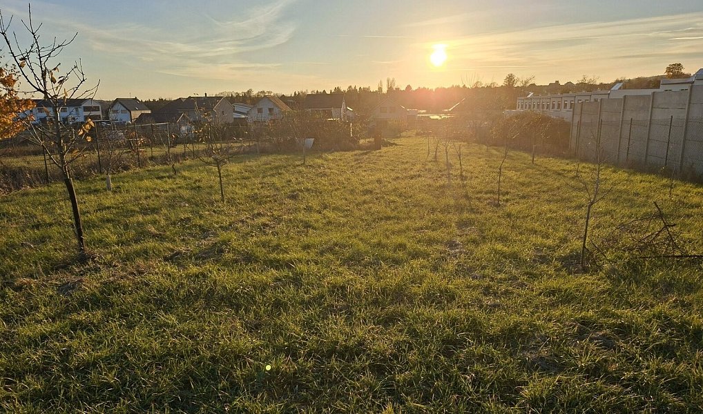 Prodej stavebního pozemku 1 527 m², Křenovice – náhled fotky 2