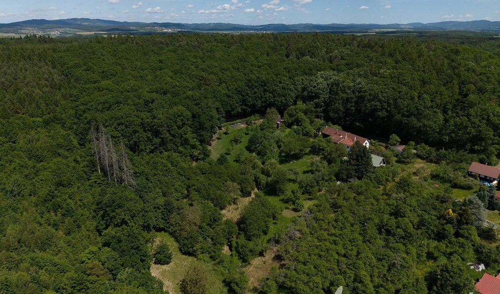 Prodej louky 3 131 m², Zlín – náhled fotky 4