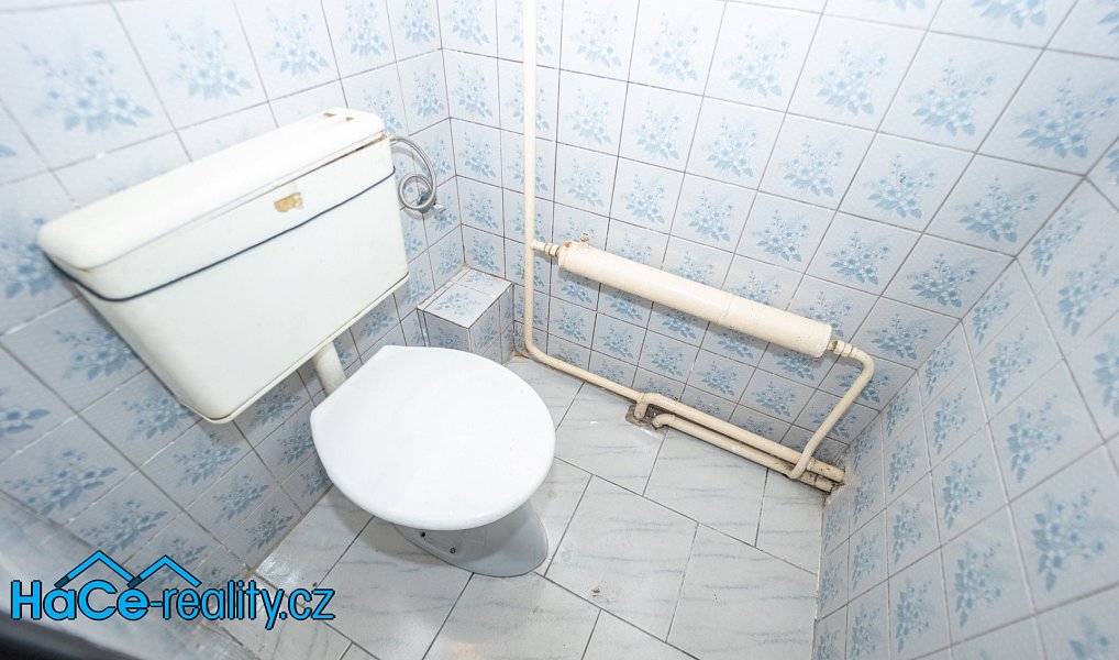 Prodej domu 255 m² s pozemkem 2 456 m², Zdelov – náhled fotky 15