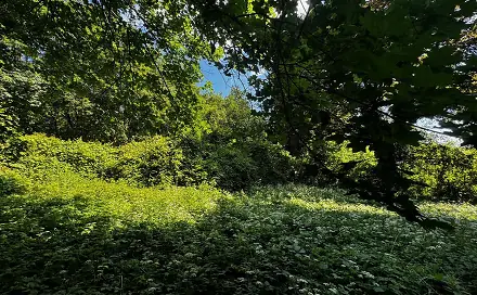 Prodej stavebního pozemku 7 834 m², Tiché údolí, Roztoky, okres Praha-západ