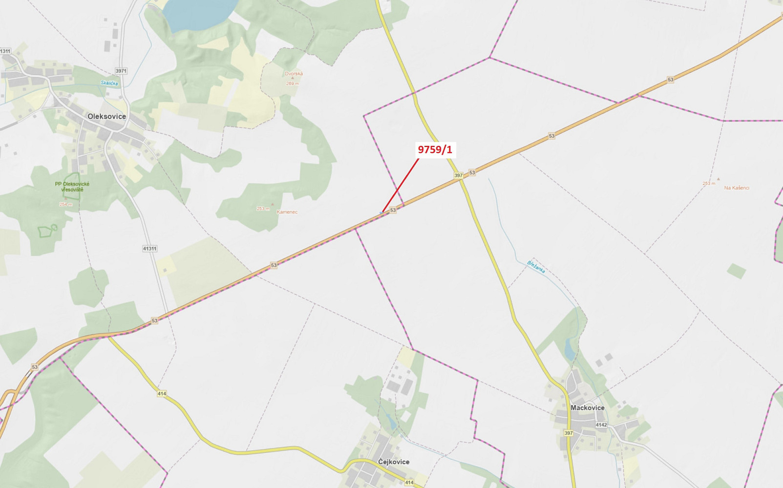 Dražba lesa 281 m²