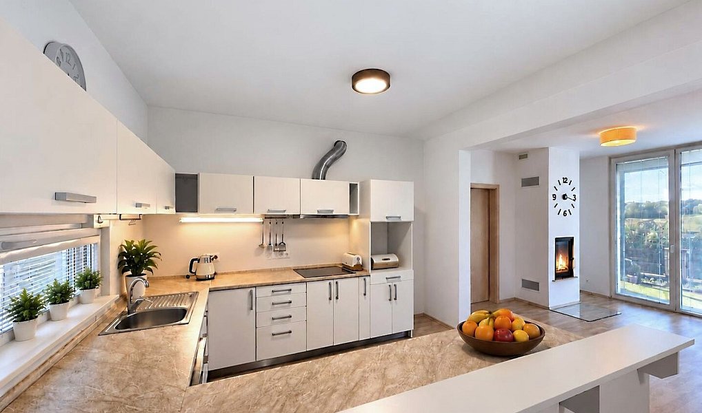 Pronájem domu 183 m² s pozemkem 580 m², Litvínovice – náhled fotky 11