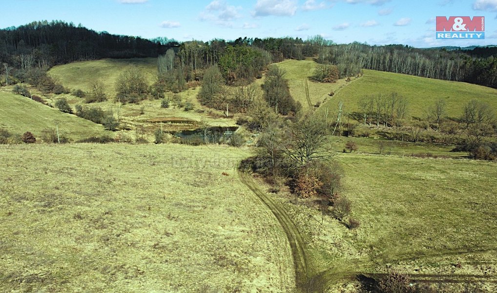 Prodej louky 5 881 m², Mirošovice – náhled fotky 5