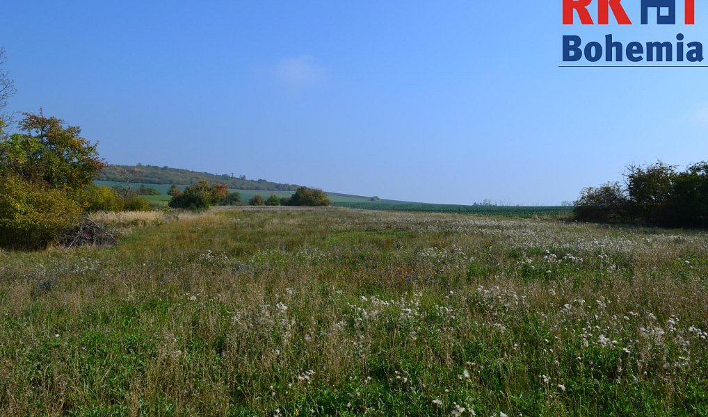 Prodej chaty/chalupy 120 m² s pozemkem 16 365 m², Cholenice – náhled fotky 14