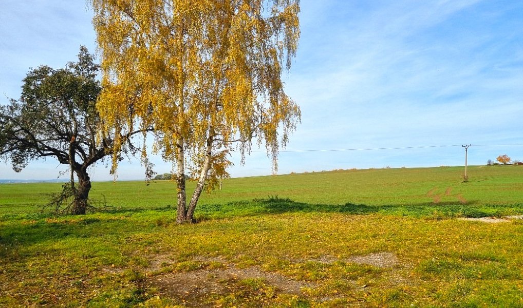 Prodej stavebního pozemku 2 051 m², Boseň – náhled fotky 5
