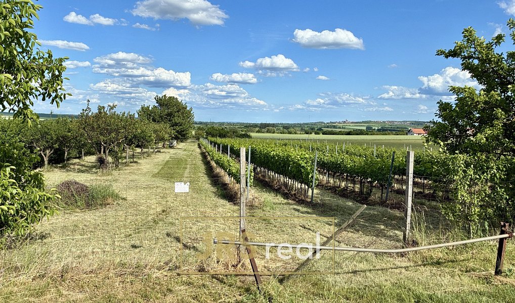 Prodej zahrady 5 111 m², Šakvice – náhled fotky 12