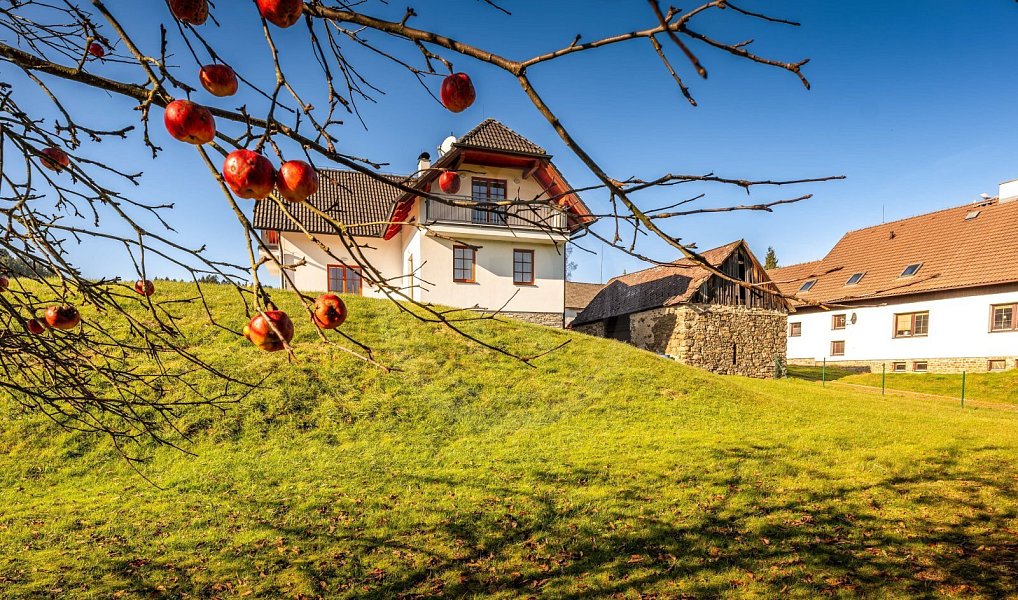 Prodej domu 230 m² s pozemkem 2 845 m², Horní Stropnice – náhled fotky 29