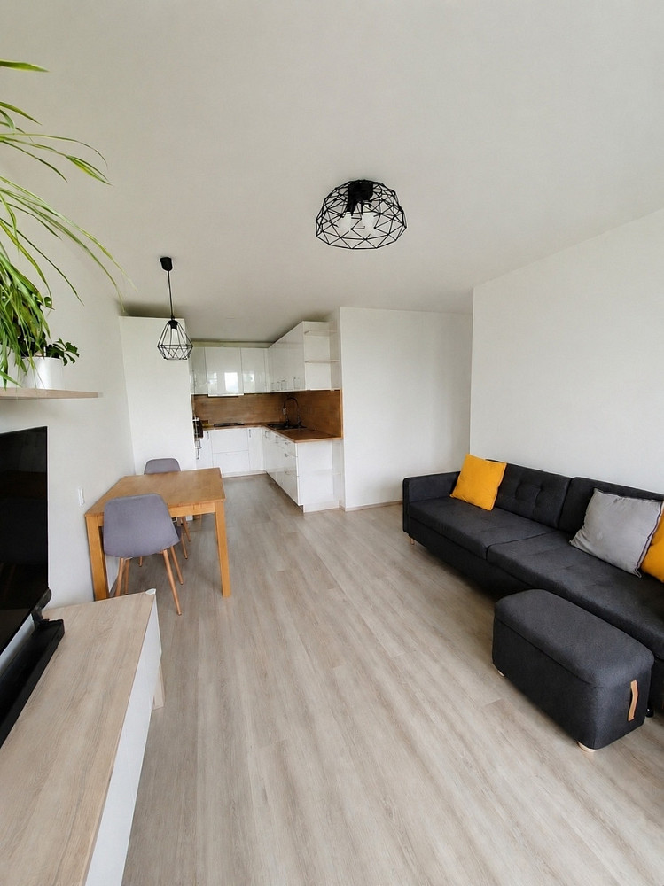 Prodej bytu 3+kk 56 m² — photo 2