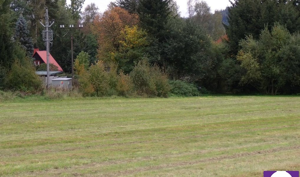 Prodej pozemku 3 860 m², Horní Planá – náhled fotky 3
