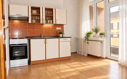 Pronájem bytu 2+1 51 m², Dřevařská, Brno - Veveří