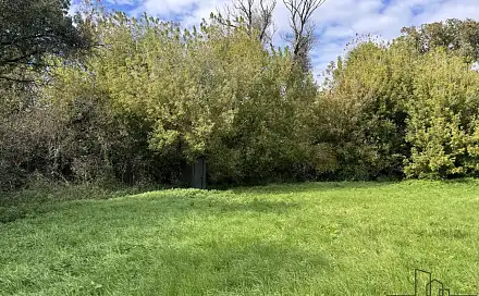 Prodej louky 3 793 m², Rohatec, okres Hodonín