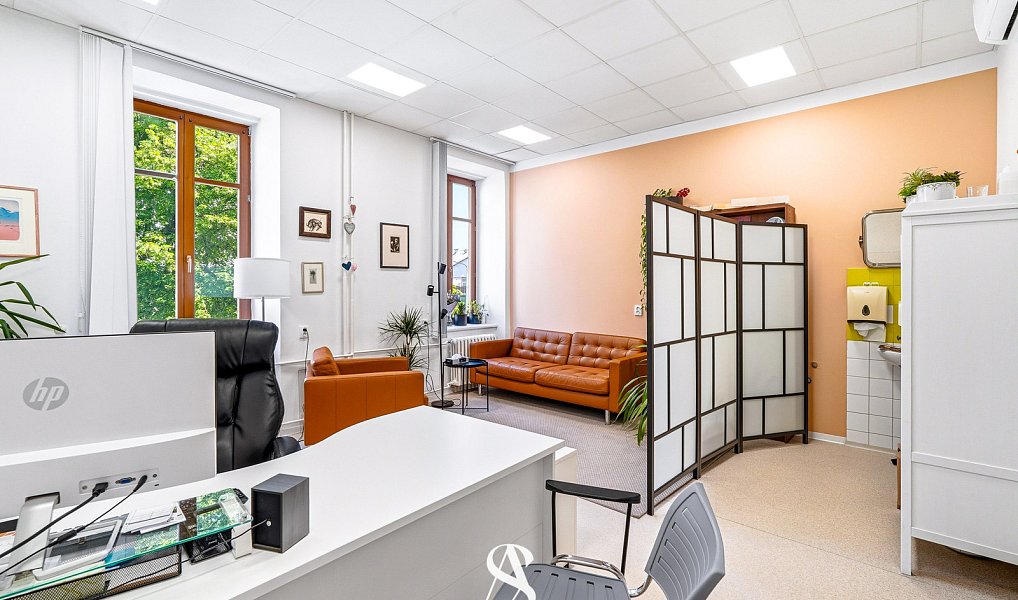 Prodej komerčního objektu (jiného typu) 348 m², Olomouc – náhled fotky 2