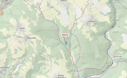 Dražba lesa 10 166 m², Vlastiboř