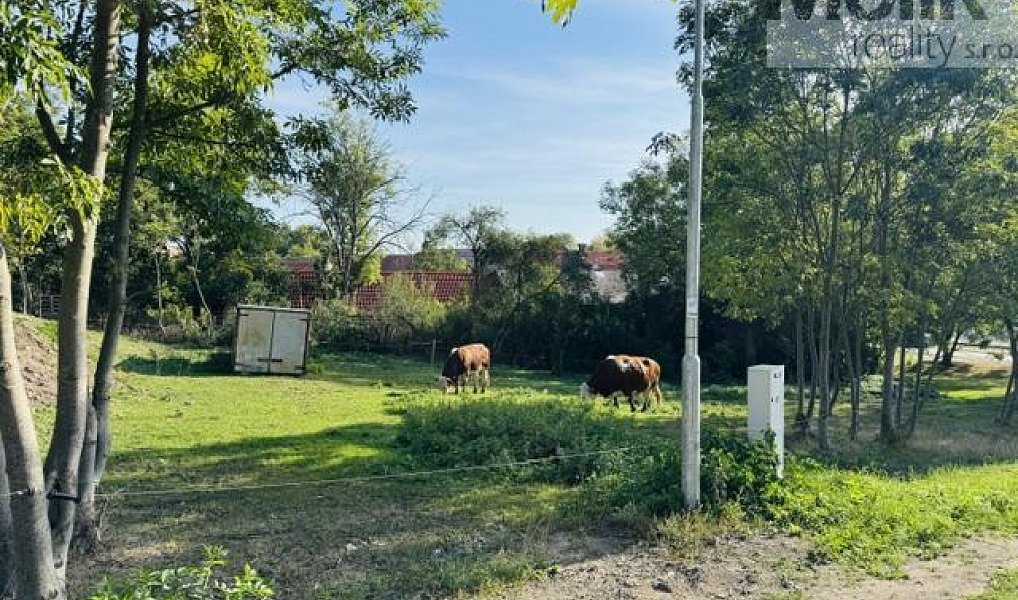 Prodej stavebního pozemku 852 m², Lipno – náhled fotky 2