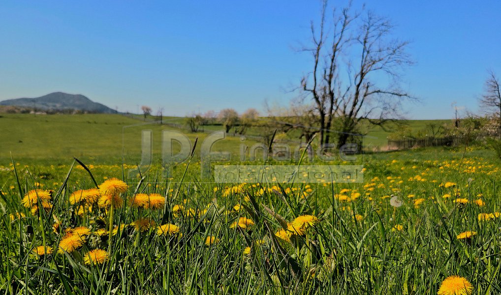 Prodej stavebního pozemku 3 539 m², Lovečkovice – náhled fotky 17