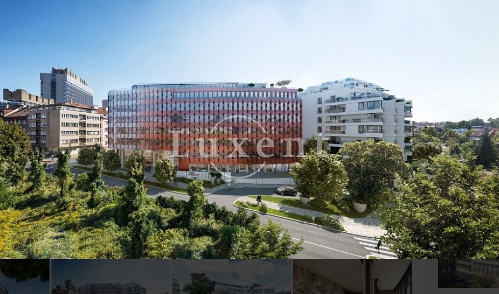 Pronájem kanceláře 423 m², Praha – náhled fotky 9