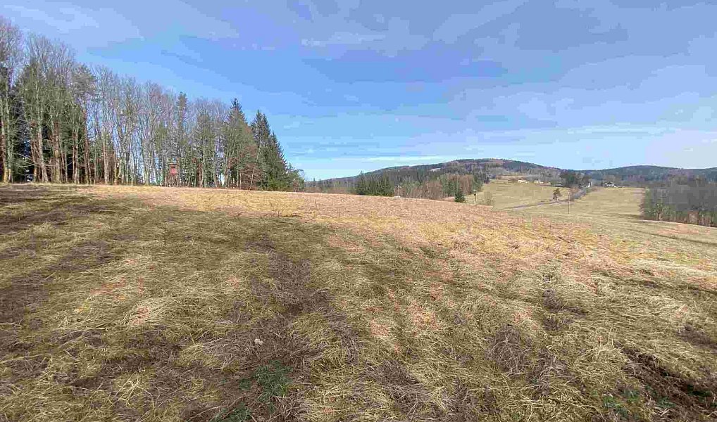 Prodej pole 3 869 m², Kraslice – náhled fotky 9