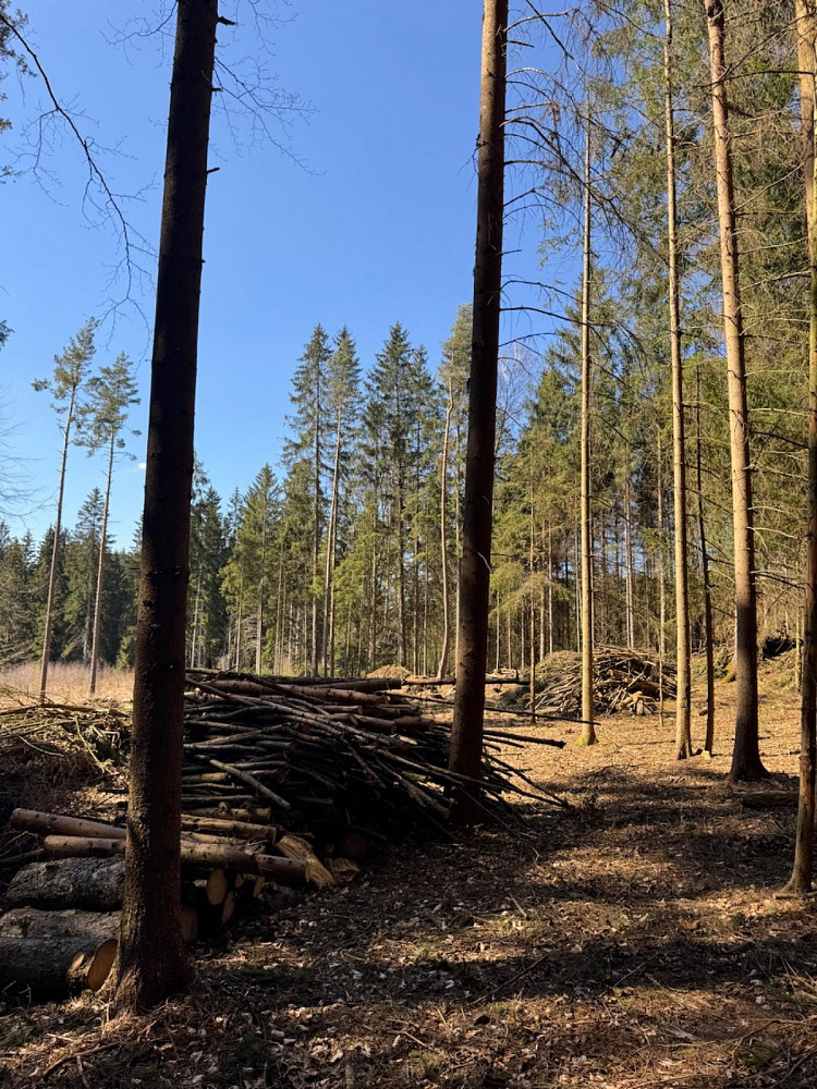Prodej pozemku 18 432 m² – další