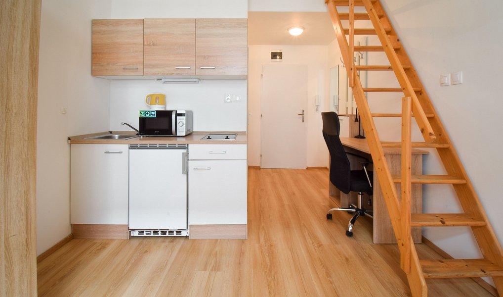 Pronájem bytu 1+kk 24 m², Brno – náhled fotky 6