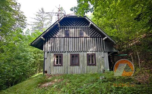 Prodej chaty/chalupy 113 m² s pozemkem 30 077 m², Stružinec, okres Semily