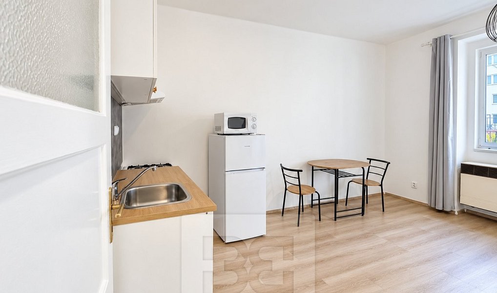 Pronájem bytu 1+kk 27 m², Praha – náhled fotky 4