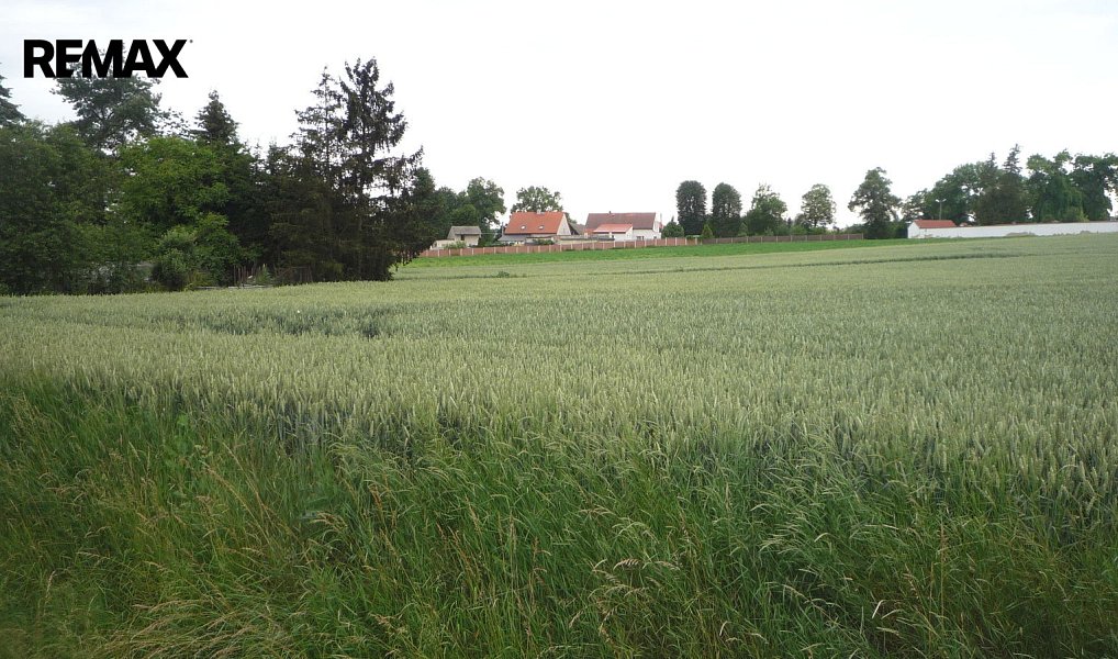 Prodej stavebního pozemku 985 m², Hořesedly – náhled fotky 11
