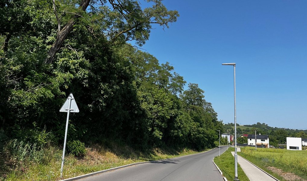 Prodej lesa 13 687 m², Zdiby – náhled fotky 2