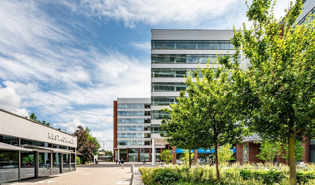 Pronájem kanceláře 256 m², Praha – náhled fotky 2